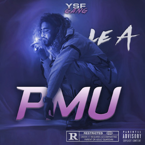 PMU