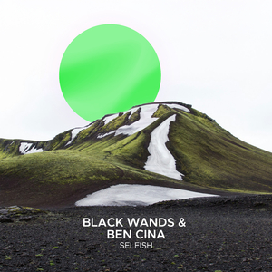 Selfish (Extended Mix)