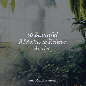 Purrfect Pounce Party