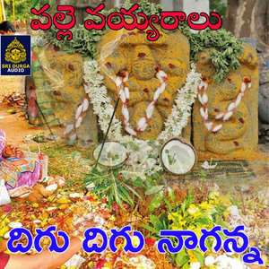Dhigu dhigu naganna (Palle Vayyaralu)
