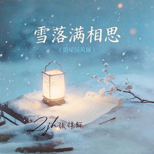 雪落满相思（烟嗓国风版）