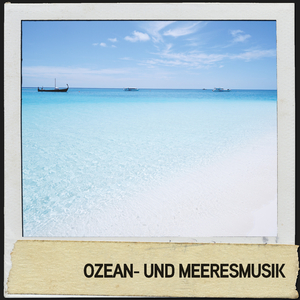 Wellen mit Regen auf dem Wald