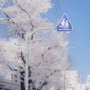 如果我变成回忆