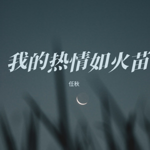 我的热情如火苗