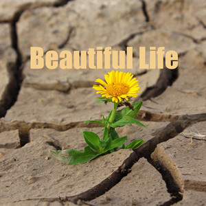 Jealous of the Angels