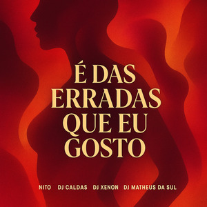 É das Erradas Que Eu Gosto