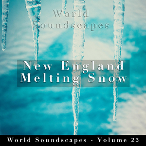 New England Melting Snow, Pt. 8