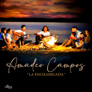 Estampa Gaucha