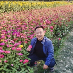 爱你无路可退 (寒夜孤心)