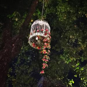 你还没走（翻自 Darren达布希勒图）