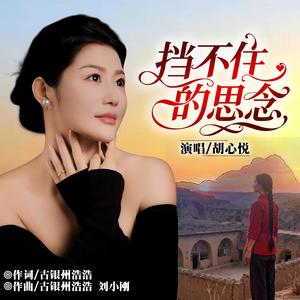 挡不住的思念 (DJ版)