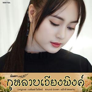 กุหลาบเวียงพิงค์