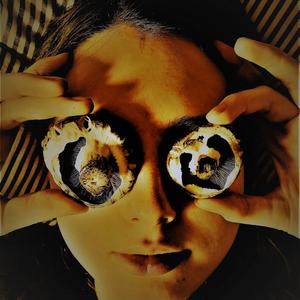 Porcini