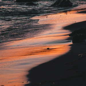 菊次郎的春夏秋冬