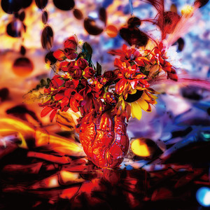 Chogenjitsu shipmoon(phonenix mix)