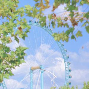 潮水漫过旧相册