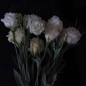 夜行（cover队长）