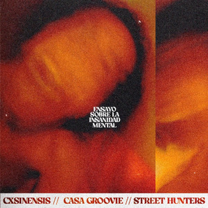 Ensayo Sobre La Insanidad Mental