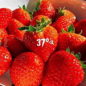 残酷月光（cover:萱萱）