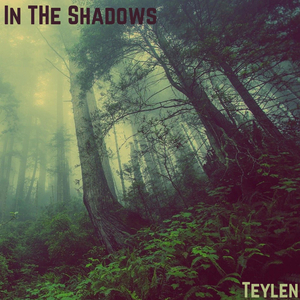 In The Shadows