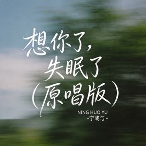想你了，失眠了（原唱版）