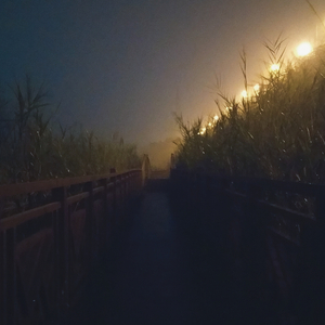 你（翻自 林依晨）