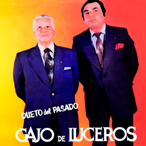 Bambuquito Montañero