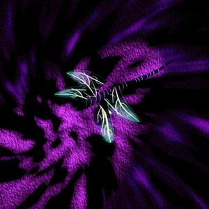 L'étang de la Libellule