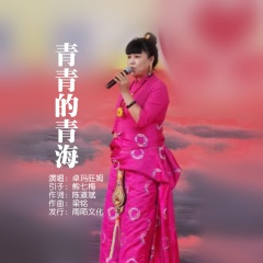 青青的青海