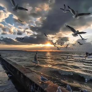 我来不及道声不安（纯享版）