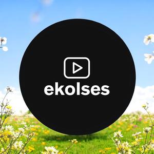 Aşkın Kanatları (V10)