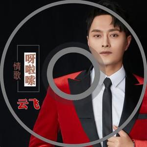 情歌呀啦嗦  (DJ阿卓版)