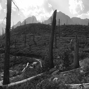 The Loneliest Girl（翻自 Carole & Tuesday）