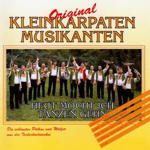 Liebling Laß Uns Pilze Sammeln (Polka)