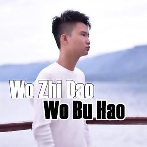 Wo Zhi Dao Wo Bu Hao