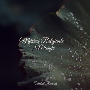 Meditación Relajante