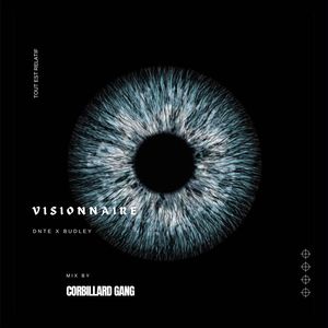 VISIONNAIRE
