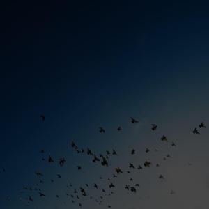 I know you're somewhere