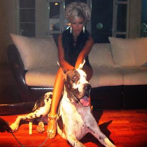 DAI MI VSICHKO (Instrumental)