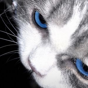 音频提取_211130_track0