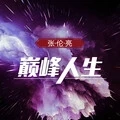 只是你太粗心大意忽略了我的感受 (Remix)