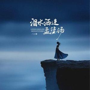 泪水洒进孟婆汤