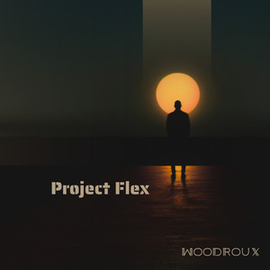 Project Flex
