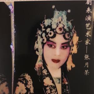 豫剧《秦香莲后传》之五(包相爷待俺恩重如山)