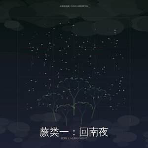 算法孤独