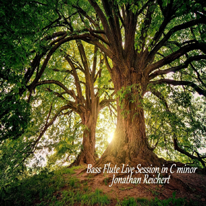 Bass Flute Live Session in C Minor