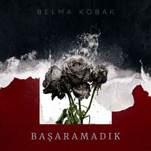 Başaramadık
