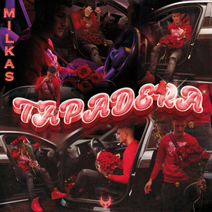 Tapadera