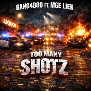 Too Many Shotz (feat. Bang4Boo)