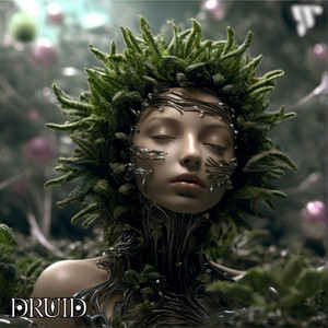 Druid